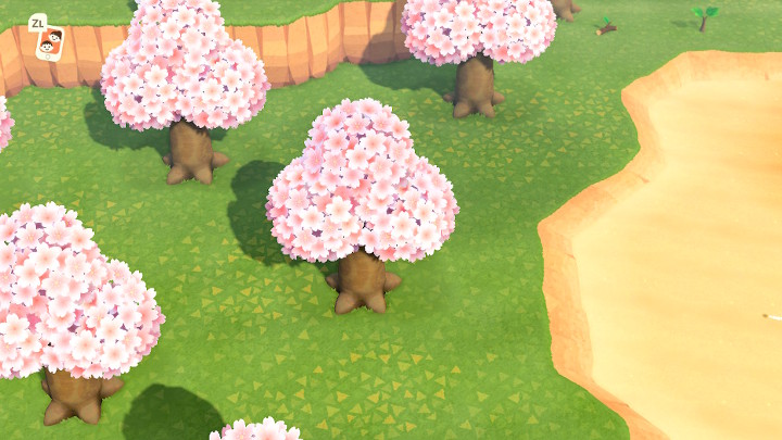 How To Get Cherry Blossom Petals In Animal Crossing New Horizons Lightgun Galaxy