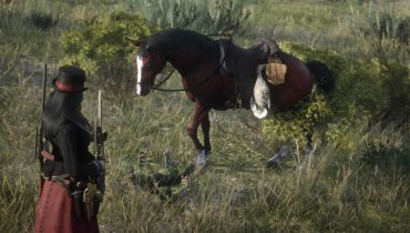 Red Dead Redemption 2 Arabian Stallion