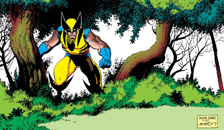 Wolverine by Arthur Adams